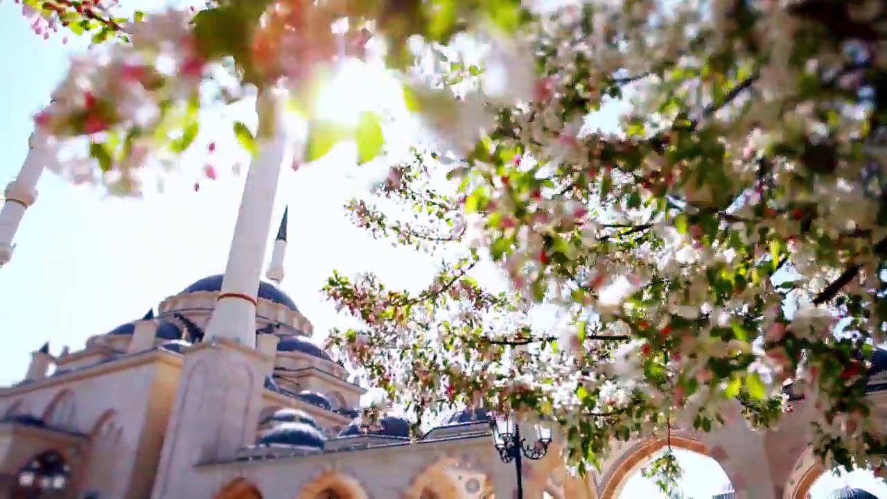 Mashallah Beautiful Islamic Song {Arabic} ᴴᴰ