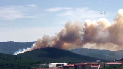 Nurettin Baransel Kışlası Ormanlık Alanında Yangın Çıktı (1)