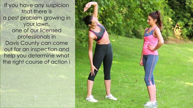 Spray Your Utah Grass for Bugs - Lawn Care in Centerville, Farmington