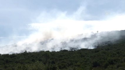 Nurettin Baransel Kışlası Ormanlık Alanında Yangın - Söndürme Çalışmaları - İstanbul