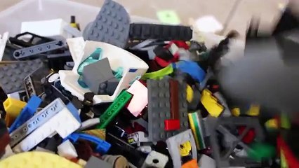 Wild Alligator from the Toilet! Did Jaws the Shark Let the Hungry Crocodile Toy Inside