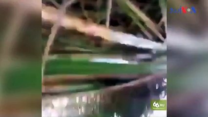 روسی جنگی ہیلی کاپٹر نے تماشائیوں پر راکٹ گرا دیا