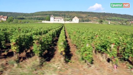 Découvrir la Bourgogne via la voie des Vignes