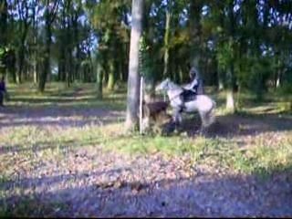 Video zaza cross castle