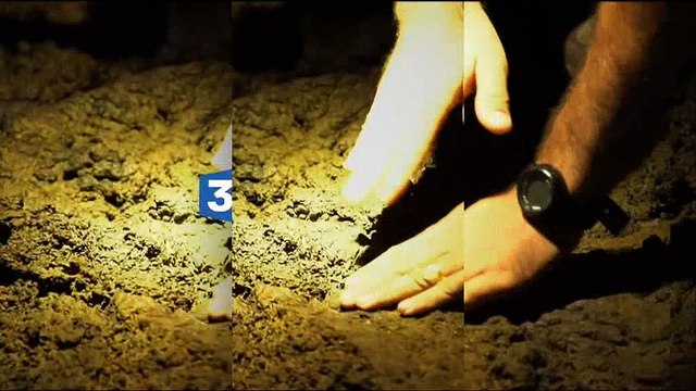 Bande-annonce de Faut pas rêver , nouvelle formule le 25 septembre 2017 sur France 3