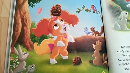 Palace Pets -Teacup The Shortcut !- Read Aloud Story Books