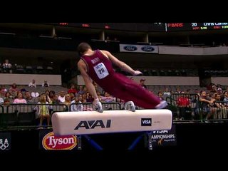 Tim Gentry - Pommel Horse - 2009 Visa Championships - Men - Day 2