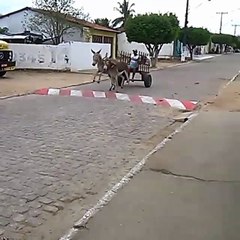 SEM FREIO (NO BREAK)