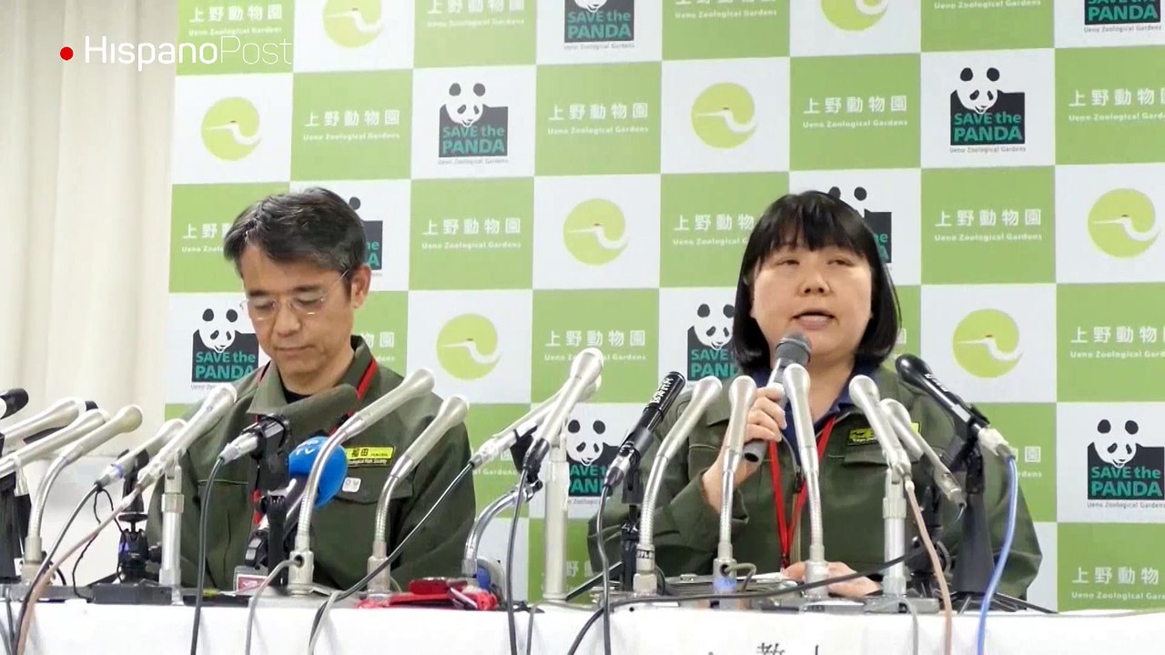 Panda gigante del zoo tokiota de Ueno se llamará Xiang Xiang