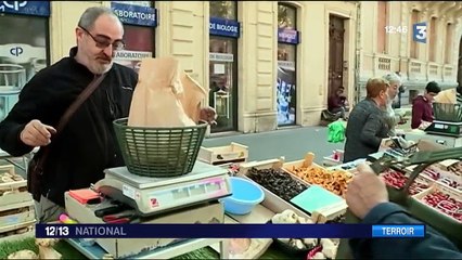 L'automne arrive et les cèpes avec