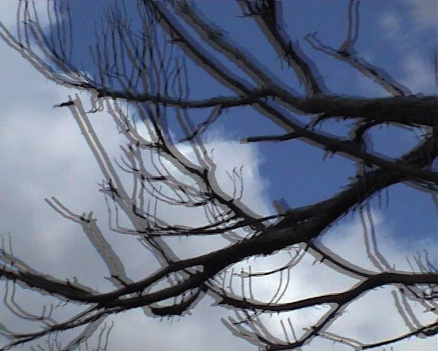 "WESTEN OSTEN" by JULIE BORGEAUD ... ou les traces d'un parcours délimité par un Ouest Est qui parcourent les territoires amérindiens.