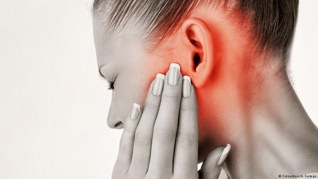 Toxina de caracol marinho é mais potente que morfina, dizem cientistas