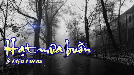 HẠT MƯA BUỒN - Diệu Hương (Ca sĩ: Trần Thái Hòa)