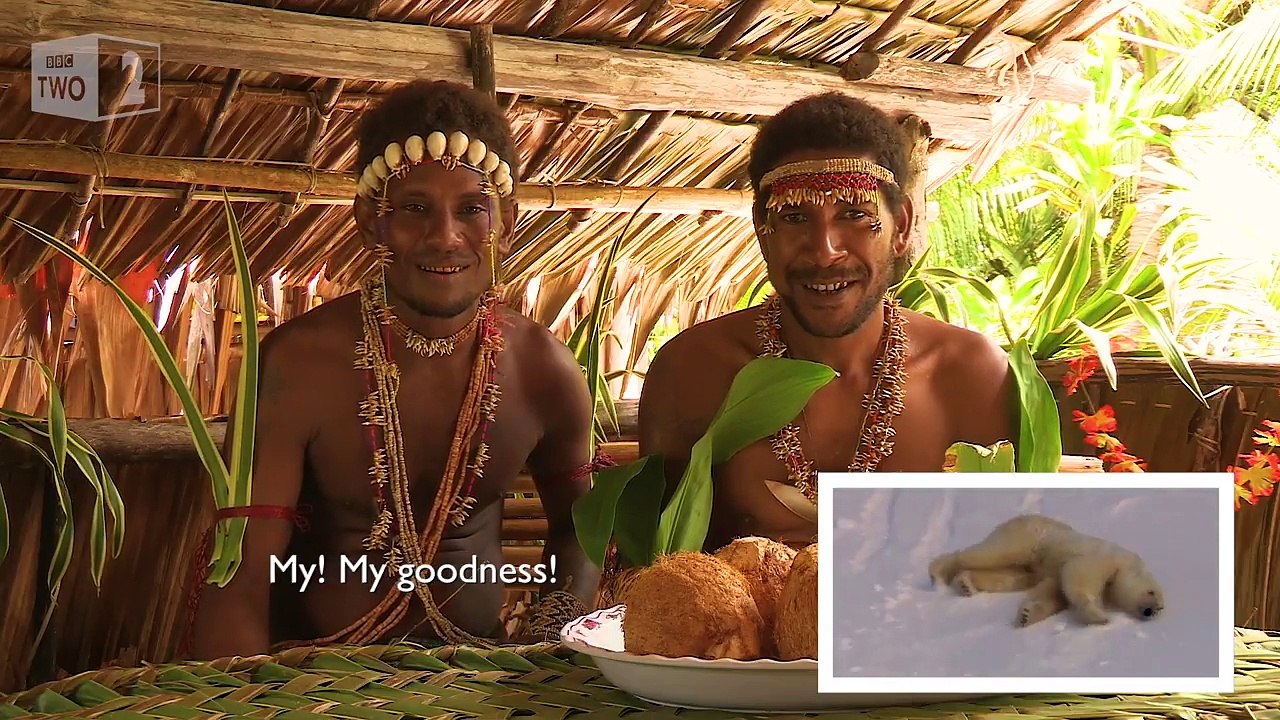 Des tribus regardent une vidéo d'ours polaires