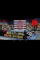 Wrestling revolution 3D: How to get Pro License