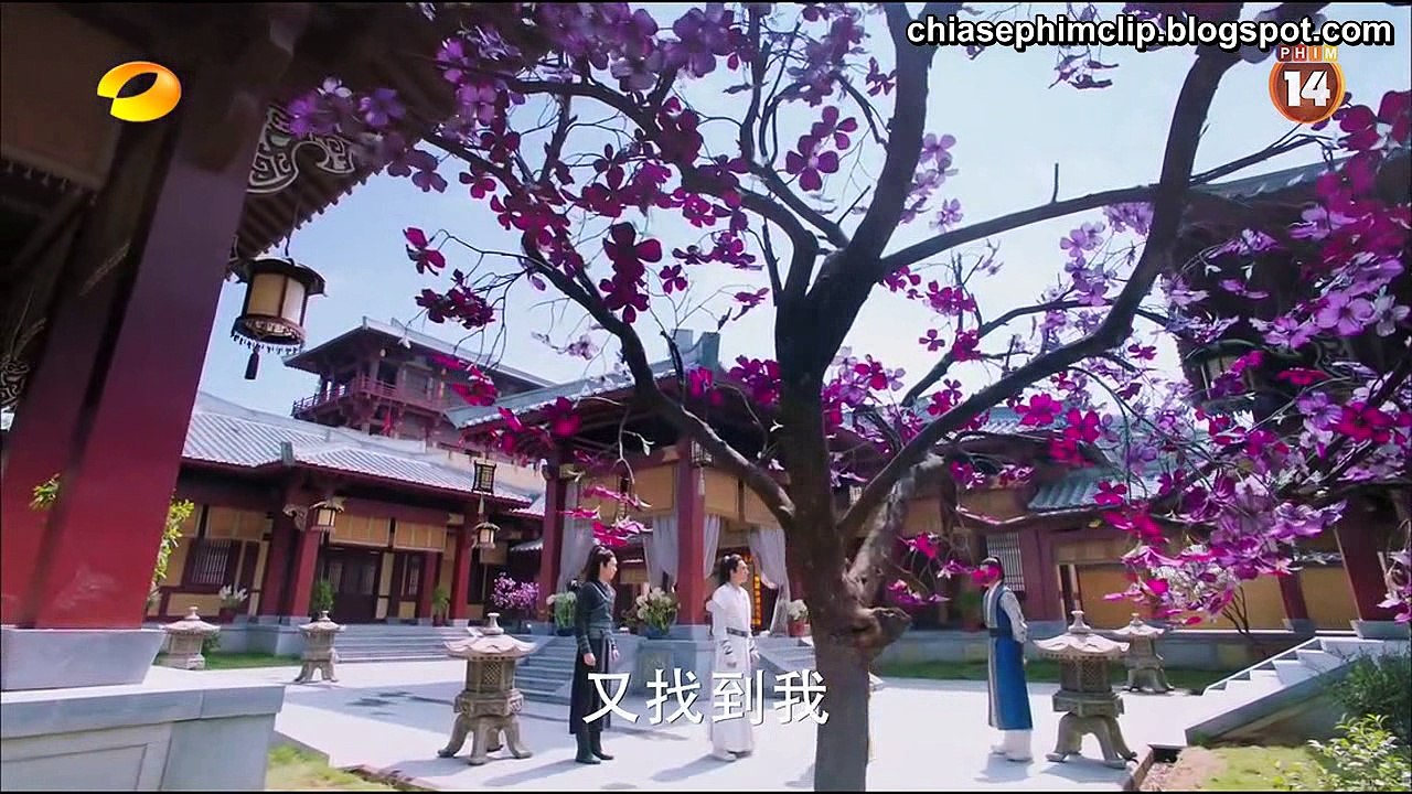 Dac Cong Hoang Phi So KT Tap 52_clip1