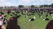 Rassemblement de 600 chiens Border Collies pour un record du monde...