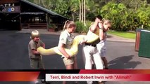 Australia Zoo - New home for Alimah the albino burmese python