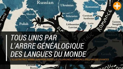Tous unis par l'arbre généalogique des langues du monde