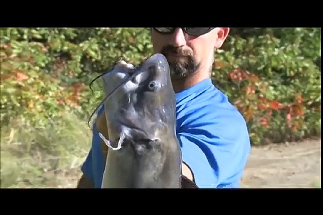 Raising Catfish in Small Ponds