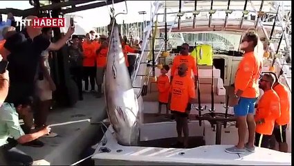 Türkiye'nin en büyük balığını tutma rekorunu kırdılar...