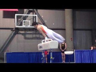 Yoshi Mori - Pommel Horse - 2010 Winter Cup - Day 1