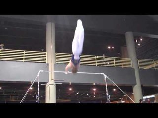Ian Makowske - High Bar - 2010 Winter Cup - Day 1