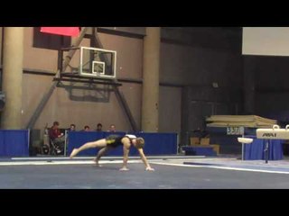 Jonathan Buese - Floor Exercise - 2010 Winter Cup - Day 1