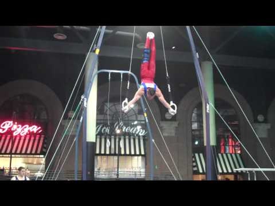 Matt Hicks - Still Rings - 2010 Winter Cup - Day 1