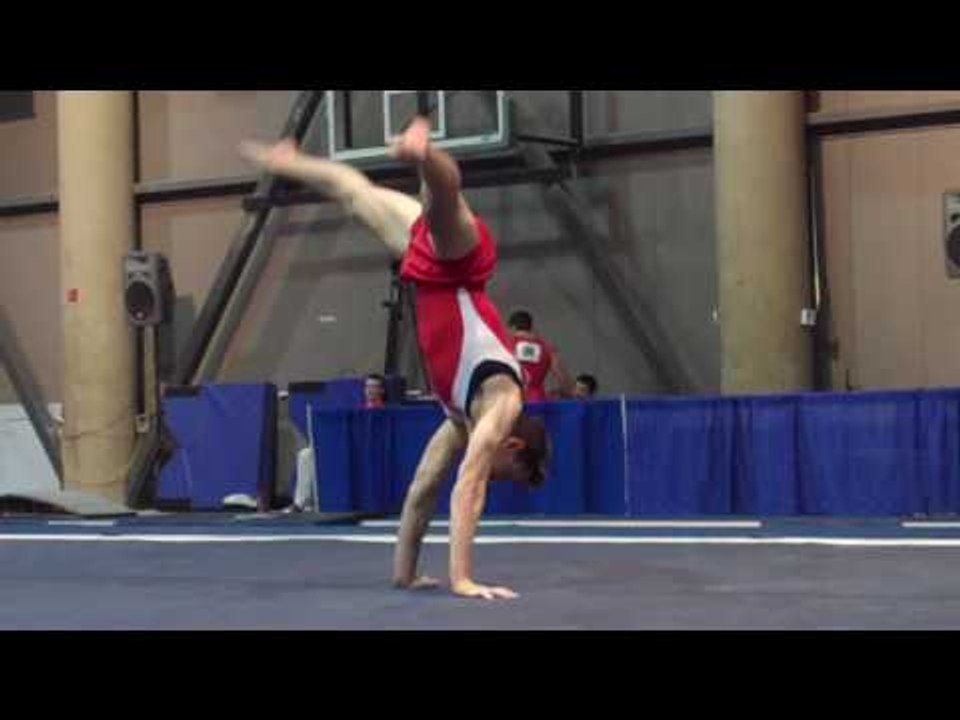 Daniel Potemski - Floor Exercise - 2010 Winter Cup - Day 1