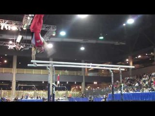 Brandon Wynn - Parallel Bars - 2010 Winter Cup - Day 1