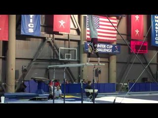 Tyler Evans - Parallel Bars - 2010 Winter Cup - Day 1