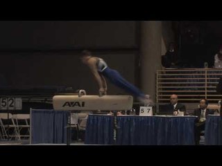 Dylan Akers - Pommel Horse - 2010 Winter Cup - Day 2