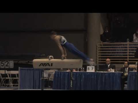 Dylan Akers - Pommel Horse - 2010 Winter Cup - Day 2