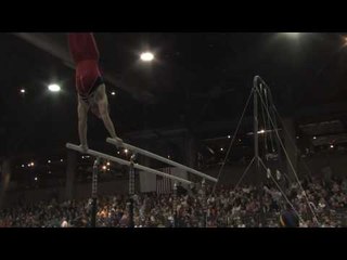 John Robinson - Parallel Bars - 2010 Winter Cup - Day 2