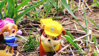 PAW PATROL Nickelodeon Paw Patrol Rubble on a Boat Toys Video Parody