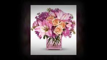 Pensacola Florist | 850-438-1981