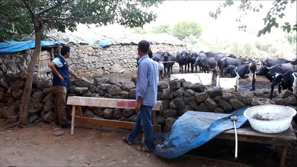 Orköy Desteği, Hataylı Üreticinin Yüzünü Güldürdü