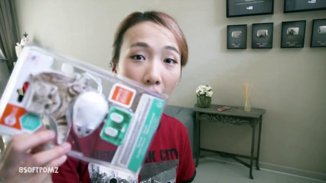 SIAMESE CAT W_ FIRST TIME MOUSE ROBOT!!-ea19xFSFiK0