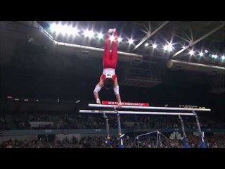Koji Yamamuro - Parallel Bars - 2010 Tyson American Cup