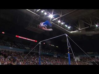 Chris Brooks - High Bar - 2010 Tyson American Cup
