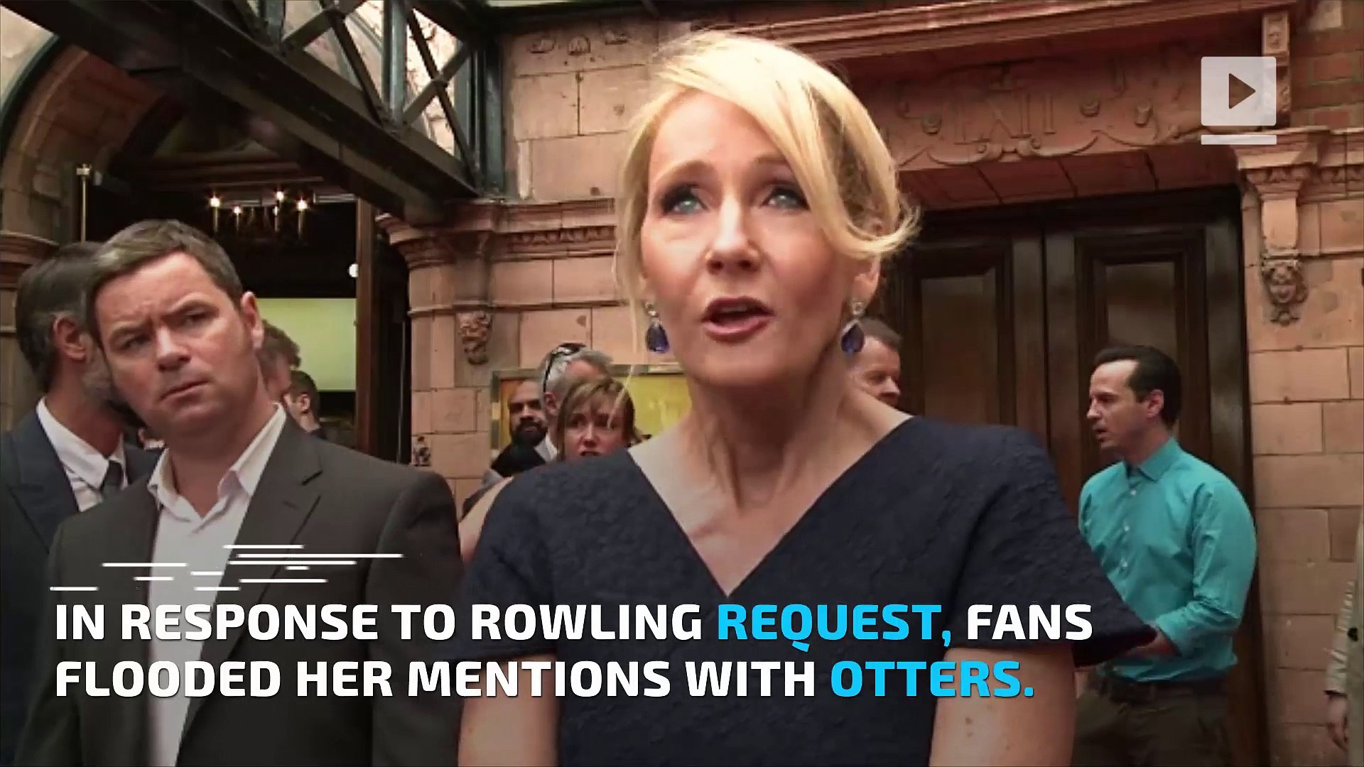 ⁣J.K. Rowling was sad so Twitter bombarded her with pictures of otters