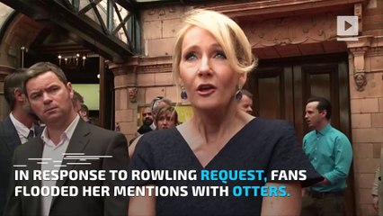 J.K. Rowling was sad so Twitter bombarded her with pictures of otters