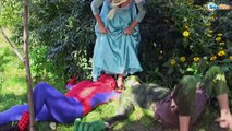 SPIDERMAN Cuts Hair FROZEN ELSA Gets Rainbow Hair! w/ Maleficent & Joker - Superhero Real Life