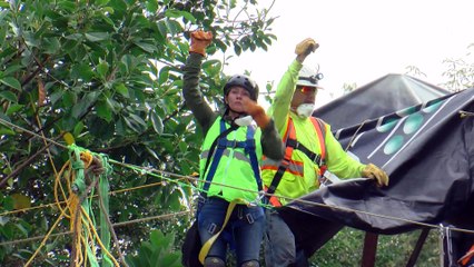 En Tiempo Real | Aún existe la esperanza de encontrar con vida a varias personas