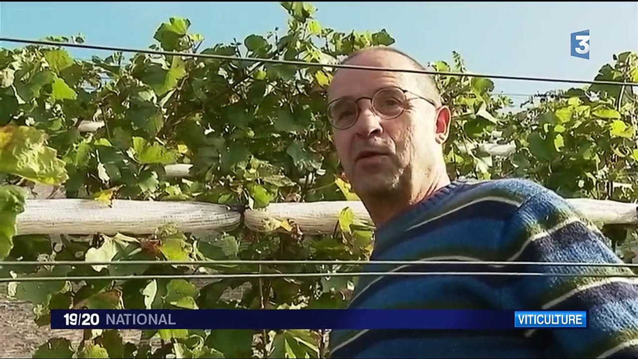 Pas-de-Calais : la cuvée des mineurs