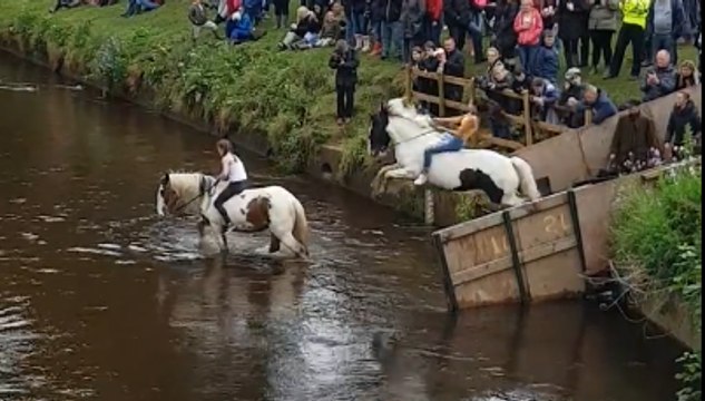 Woman Falls Off Horse Trying to Lead Horse to Water