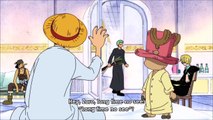 Luffy wakes up after 3 days - The straw hats meet Igarams wife #426