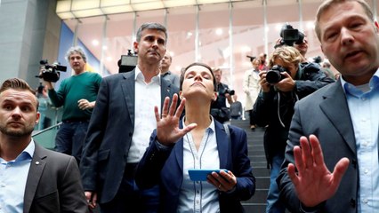 What is Germany's AfD?