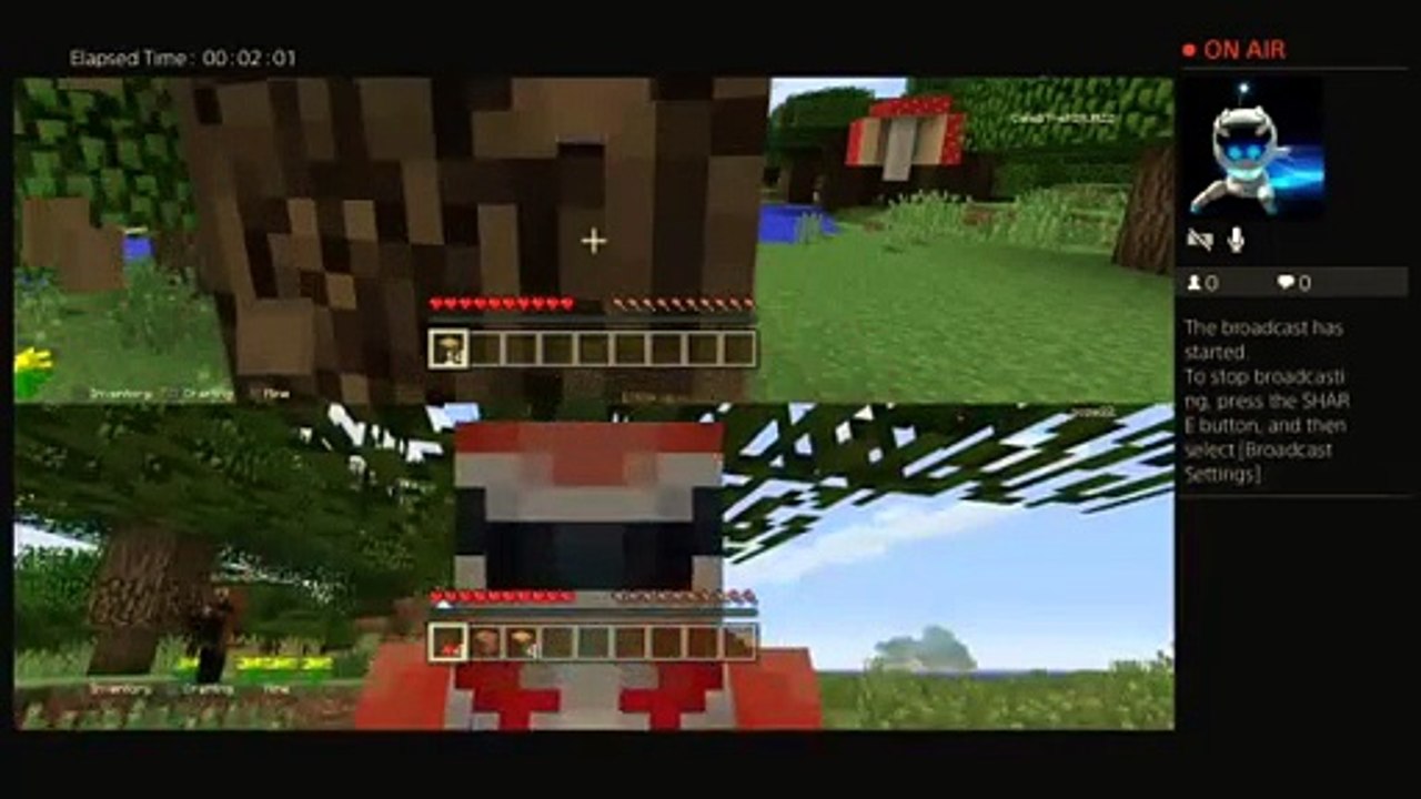 Minecraft life (20)